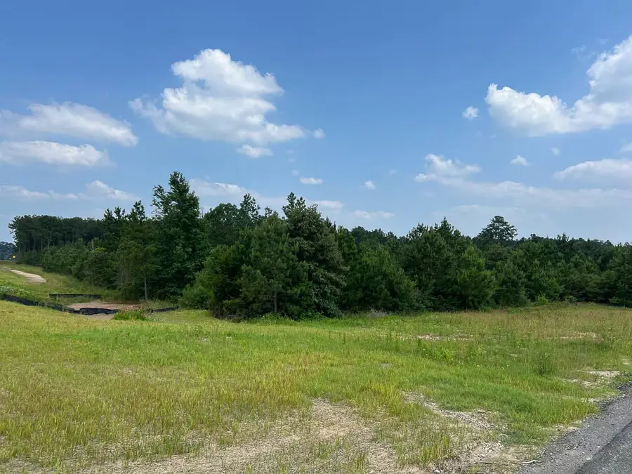 Tract 2 Sh 249, Navasota, TX 77868 - Image #3