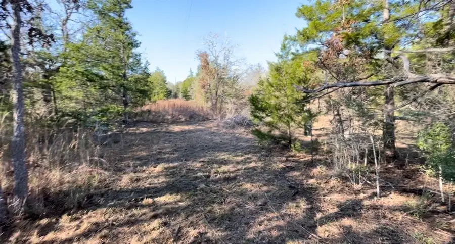 TBD Shoreline Drive, Somerville, TX 77879 - #2