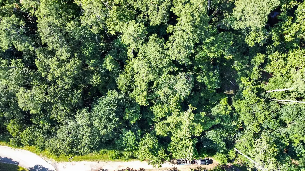 0 Boot Hill Rd, Stagecoach, TX 77355 - Image #1