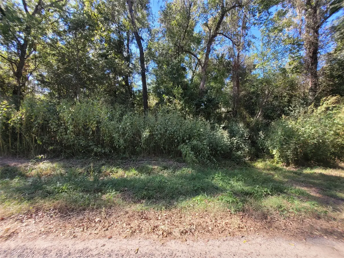 0 Lakeside Drive, Cleveland, TX 77327 - Image #1