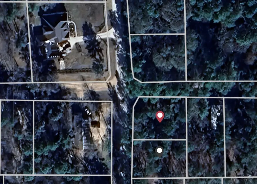 TBD Live Oak Drive, Plantersville, TX 77363 - Image #3