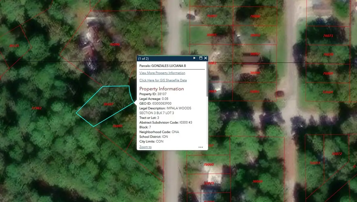 800 Impala Drive, Onalaska, TX 77360 - Image #1