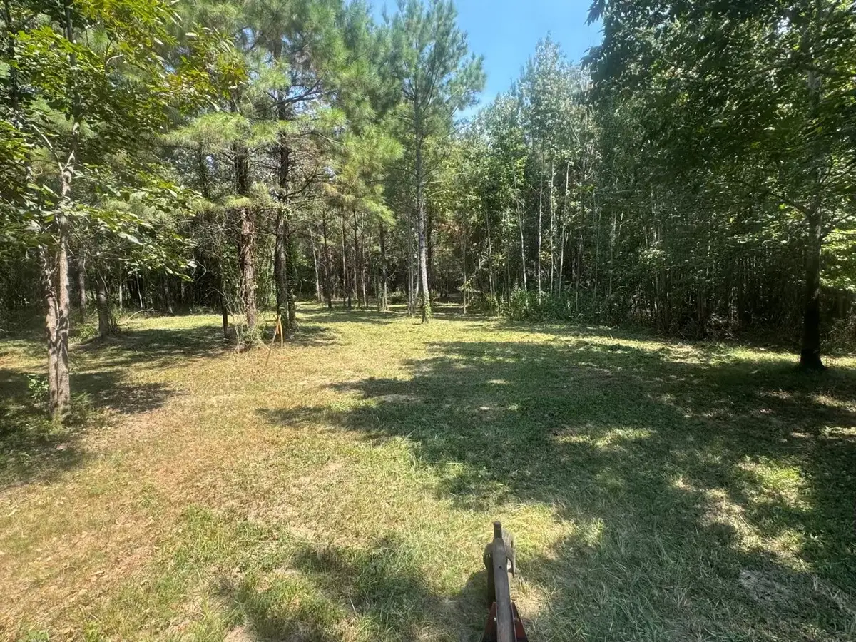 TBD Fm-223, Shepherd, TX 77371 - Image #1