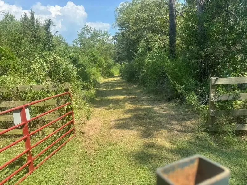 TBD Fm-223, Shepherd, TX 77371 - Image #2