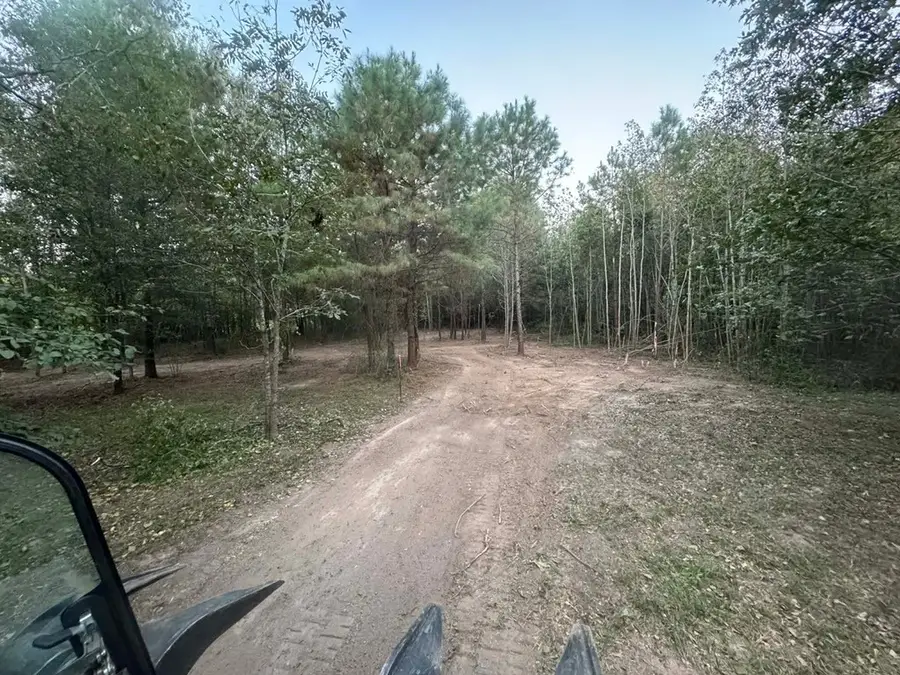 TBD Fm-223, Shepherd, TX 77371 - Image #3