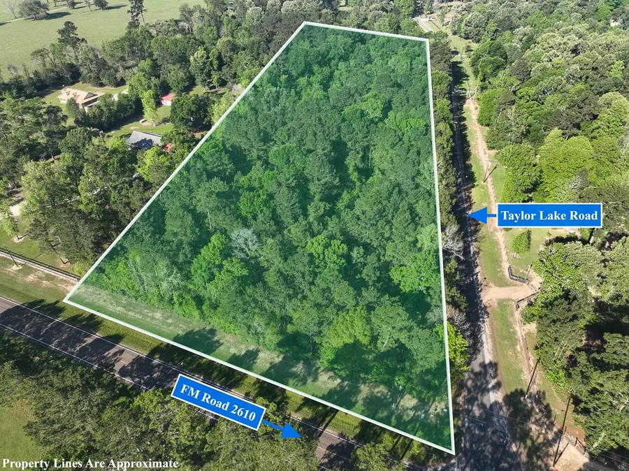 1 Fm 2610, Livingston, TX 77351 - #2