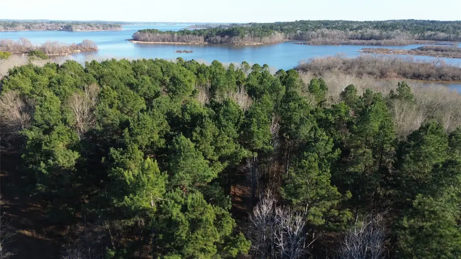 000 Fm 314, Chandler, TX 75758 - #3