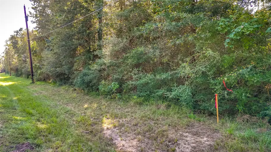 TBD 27 Timber Grove, Livingston, TX 77351 - #2