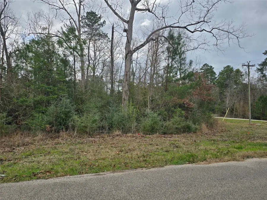 74 County Road 6323, Dayton, TX 77535 - #2