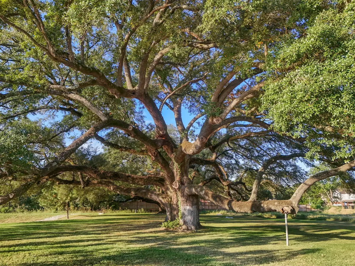 21803 Red Oak View Court, Tomball, TX 77375 - #1