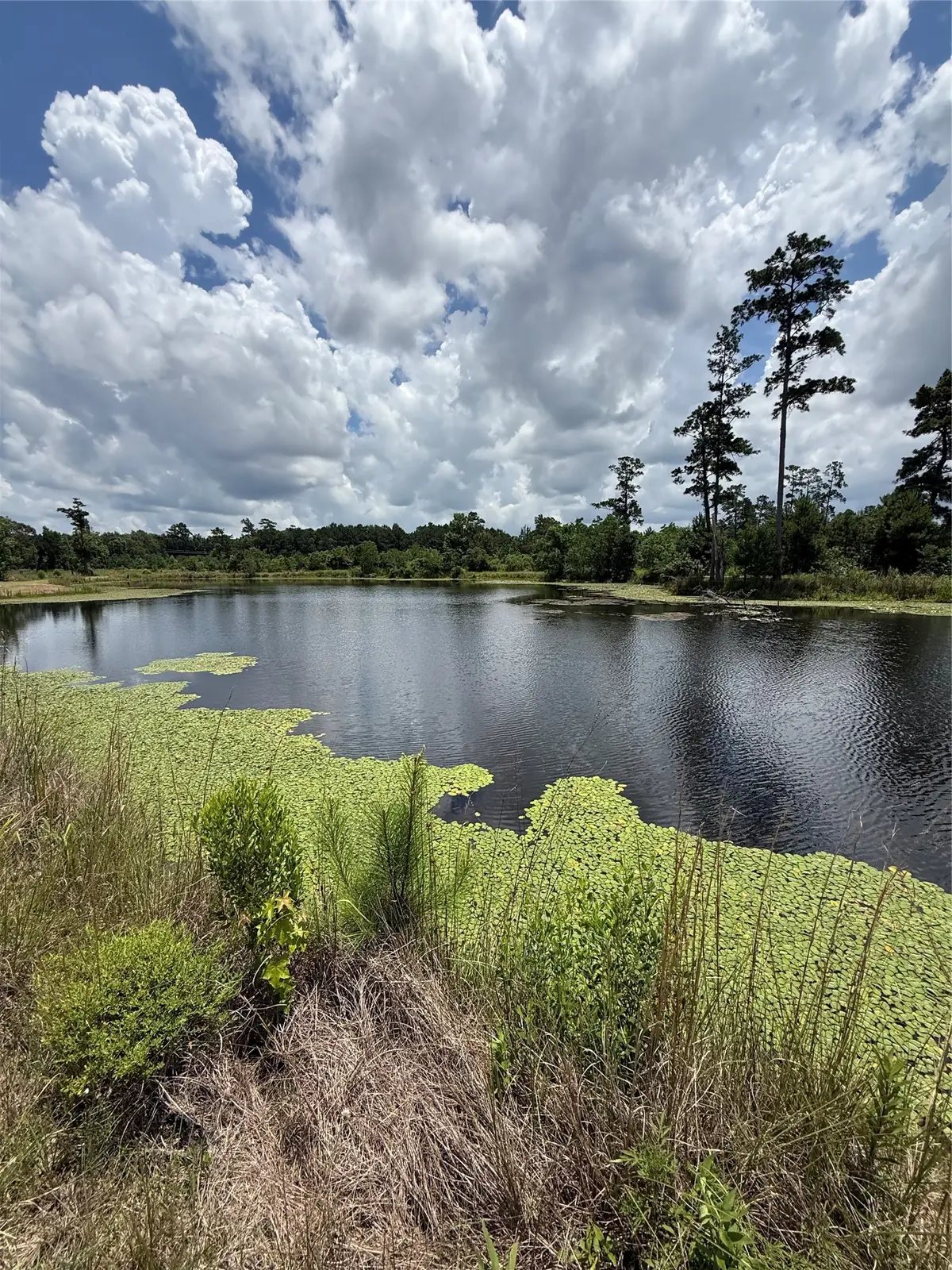 285 Fm-1725, Cleveland, TX 77328 - #1