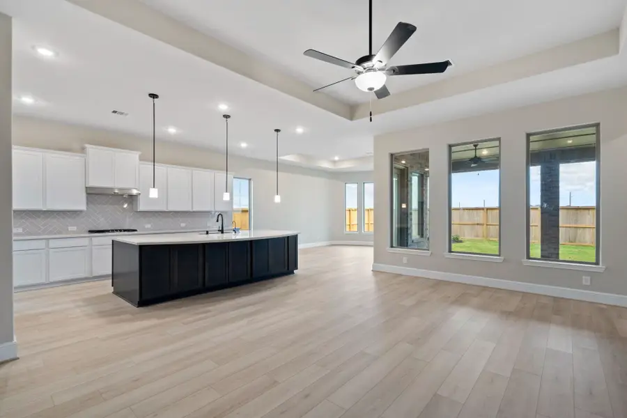 6411 Sparkling Citrus Street, Manvel, TX 77578 - Image #2