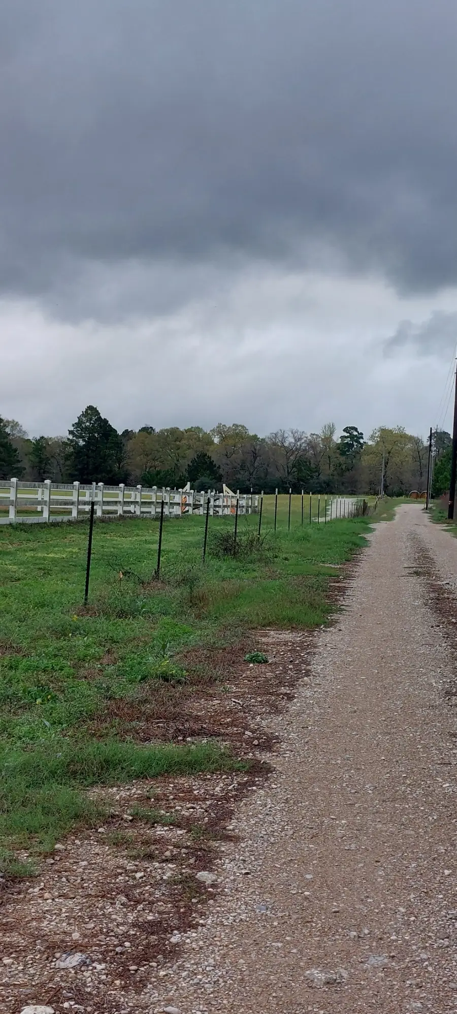 3853 N Fm 1486, Montgomery, TX 77356 - #2