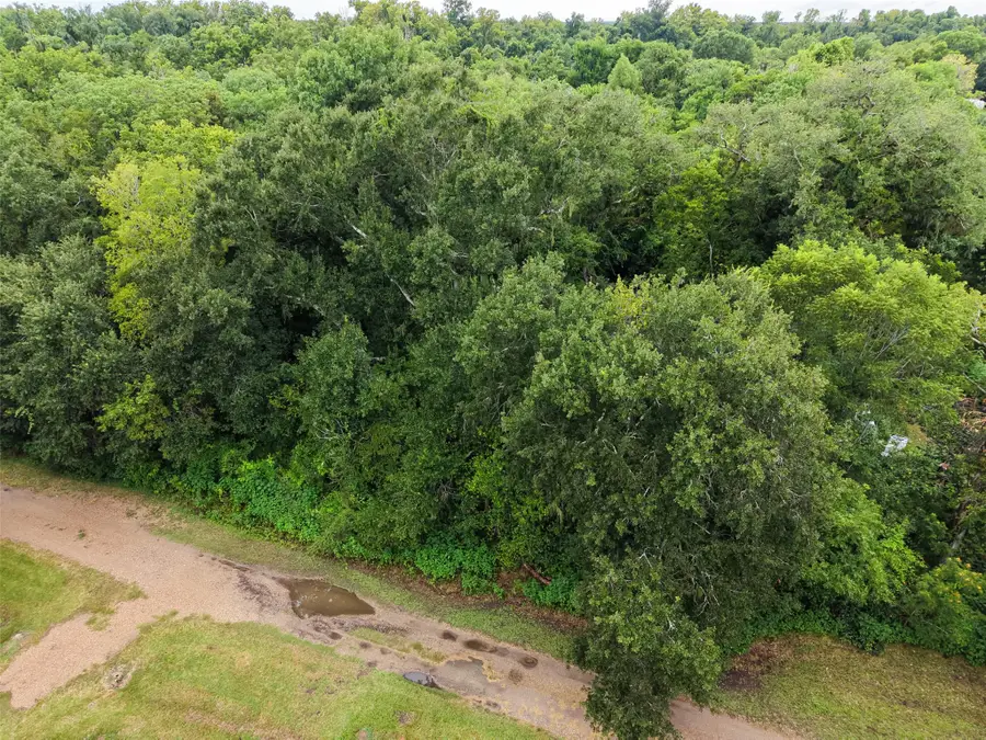0 Pine Street, Rosharon, TX 77583 - #3