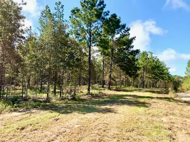 TBD 38.3+/- AC Cr 2310, Woodville, TX 75979 - Image #1
