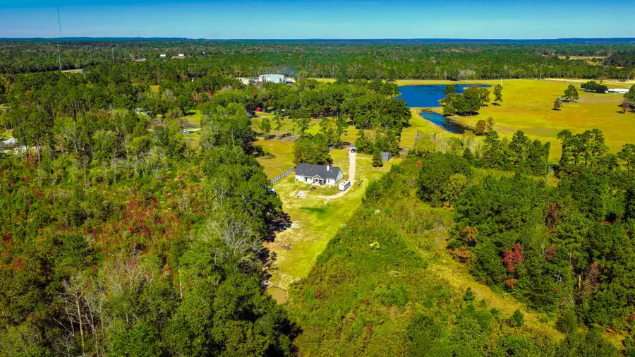 440 Fm 223, Shepherd, TX 77371 - #3