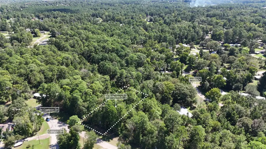 Lot 226 N Canyon Drive, Onalaska, TX 77360 - Image #3