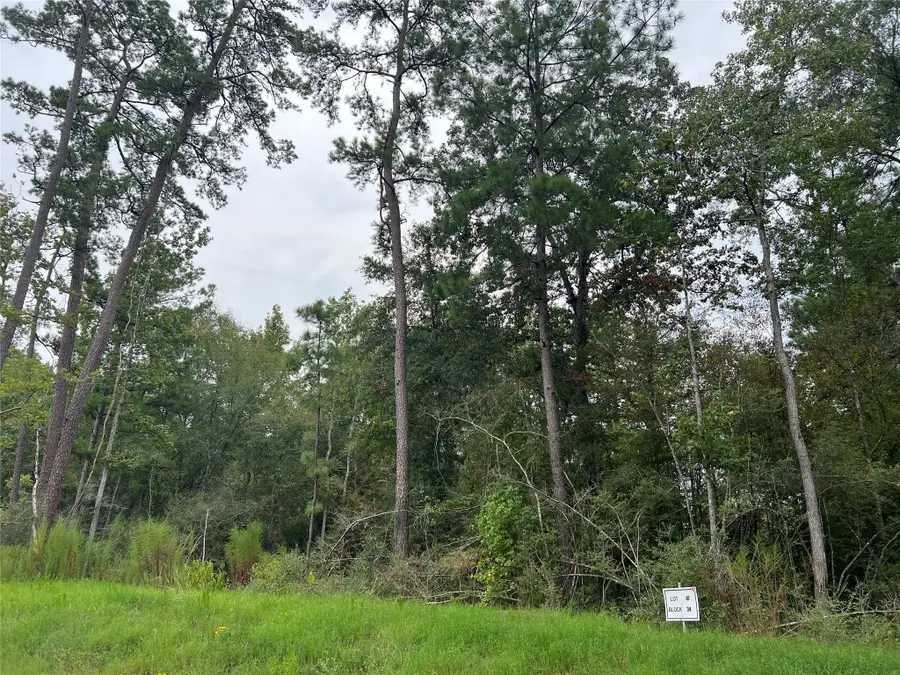 47-34-15 Alamo Drive, Huntsville, TX 77340 - Image #3