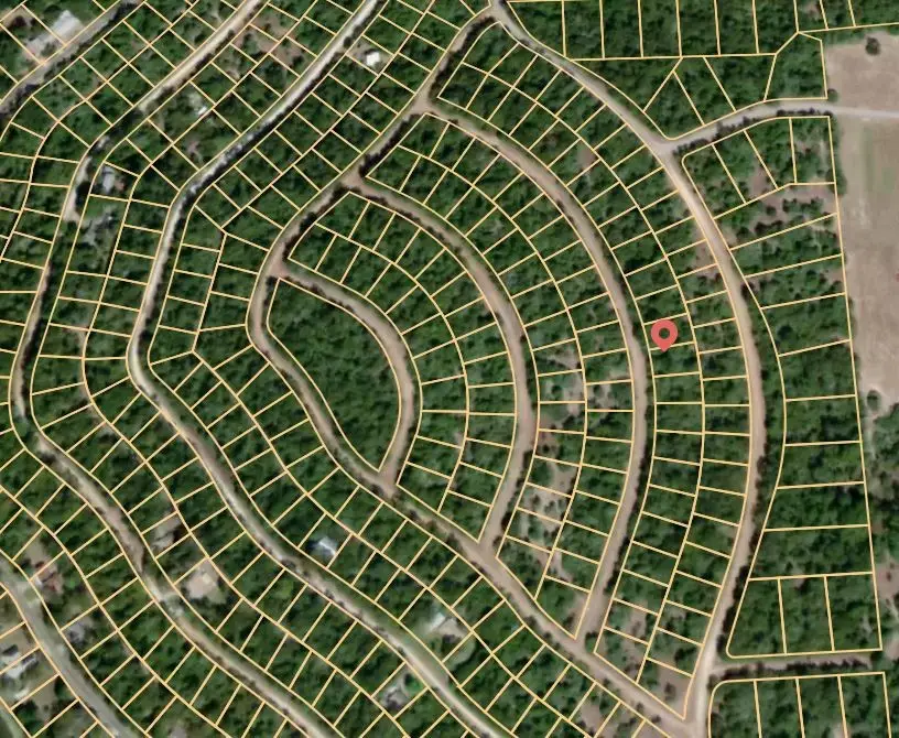 Lot 39 Cheyenne, Normangee, TX 77871 - Image #3