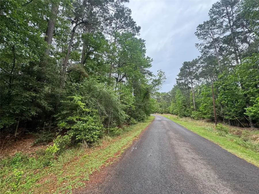 0 Whisperwood Drive, Onalaska, TX 77360 - #3