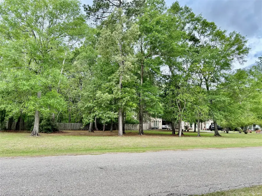 22920 Colorado Drive, Porter, TX 77365 - #3