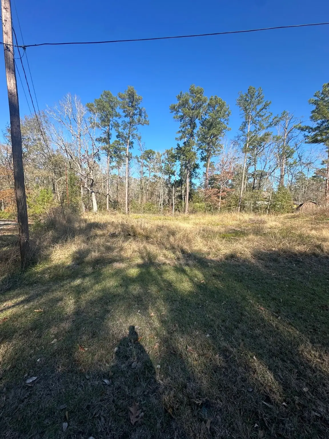 Tbd Fir, Livingston, TX 77351 - Image #1