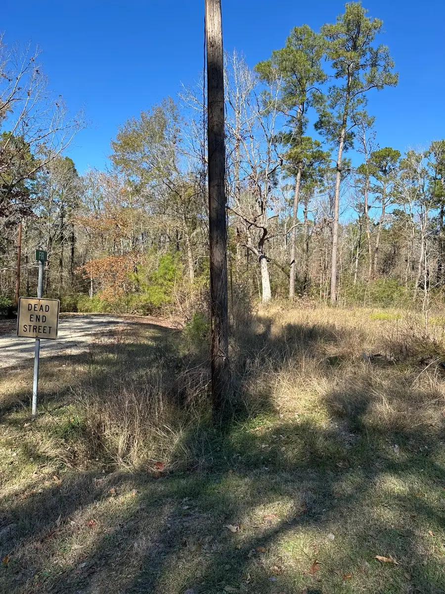 Tbd Fir, Livingston, TX 77351 - Image #3
