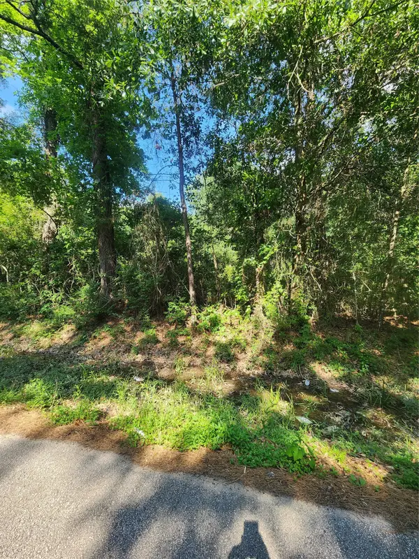 202 Michael Street, Cleveland, TX 77328