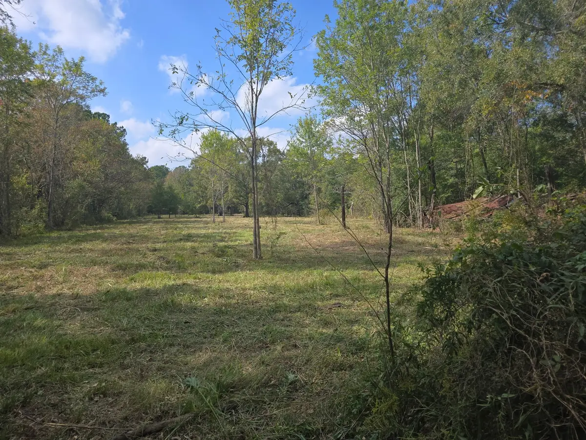 417 County Road 6881 N, Dayton, TX 77535 - Image #1