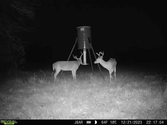 949 Cr 2061, Hull, TX 77564 - Image #2