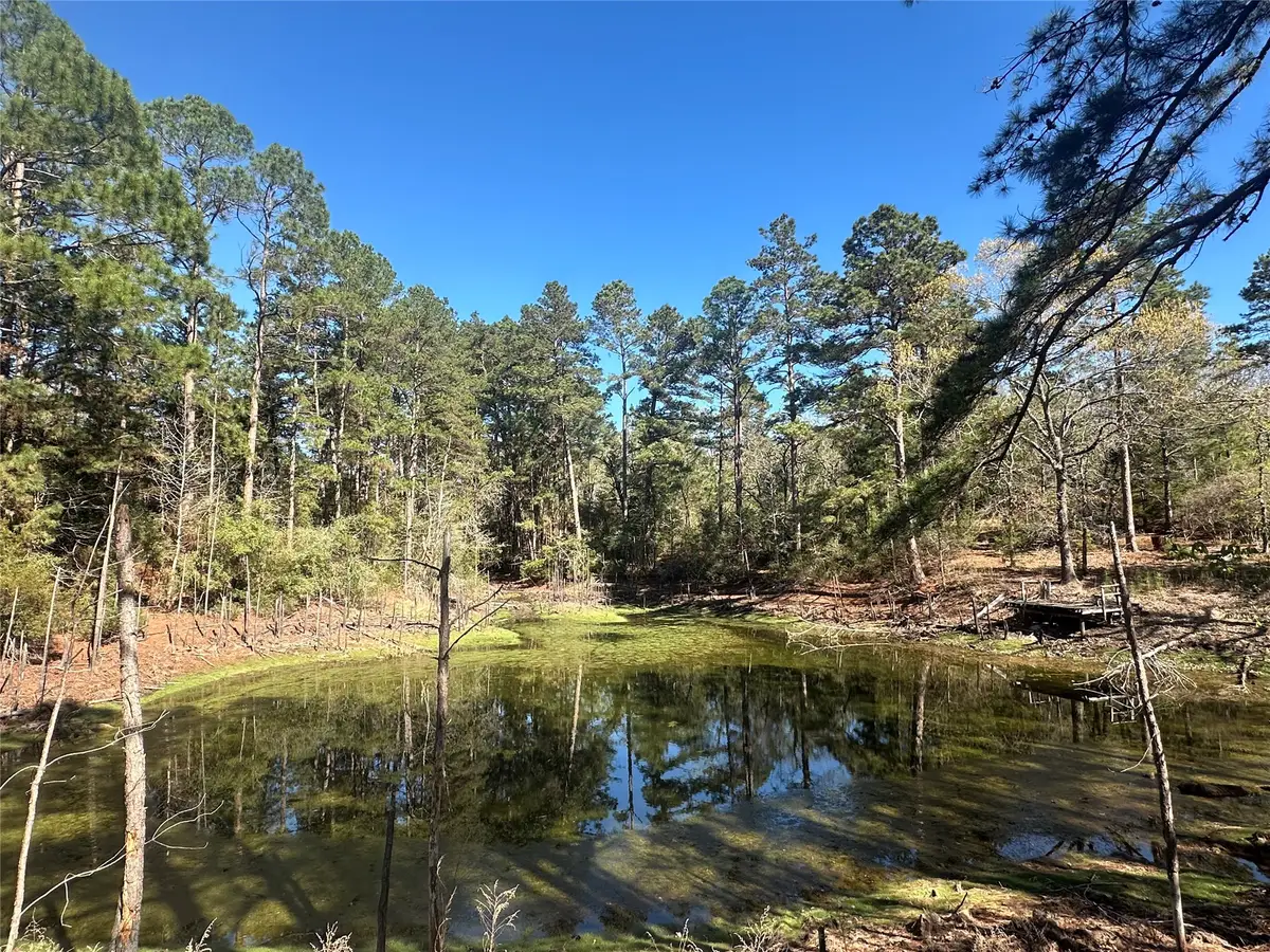 38AC Cr 263, Buffalo, TX 75831 - #1