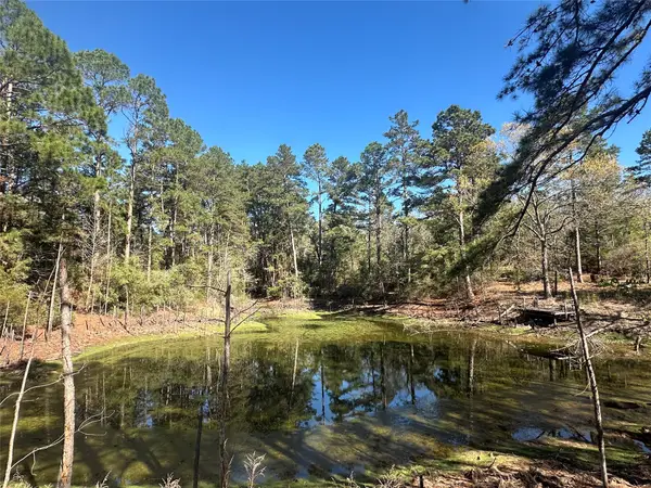 38AC Cr 263, Buffalo, TX 75831