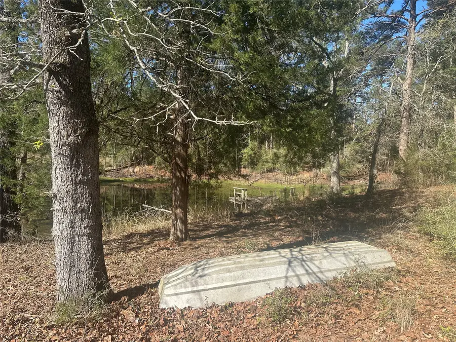 38AC Cr 263, Buffalo, TX 75831 - #3