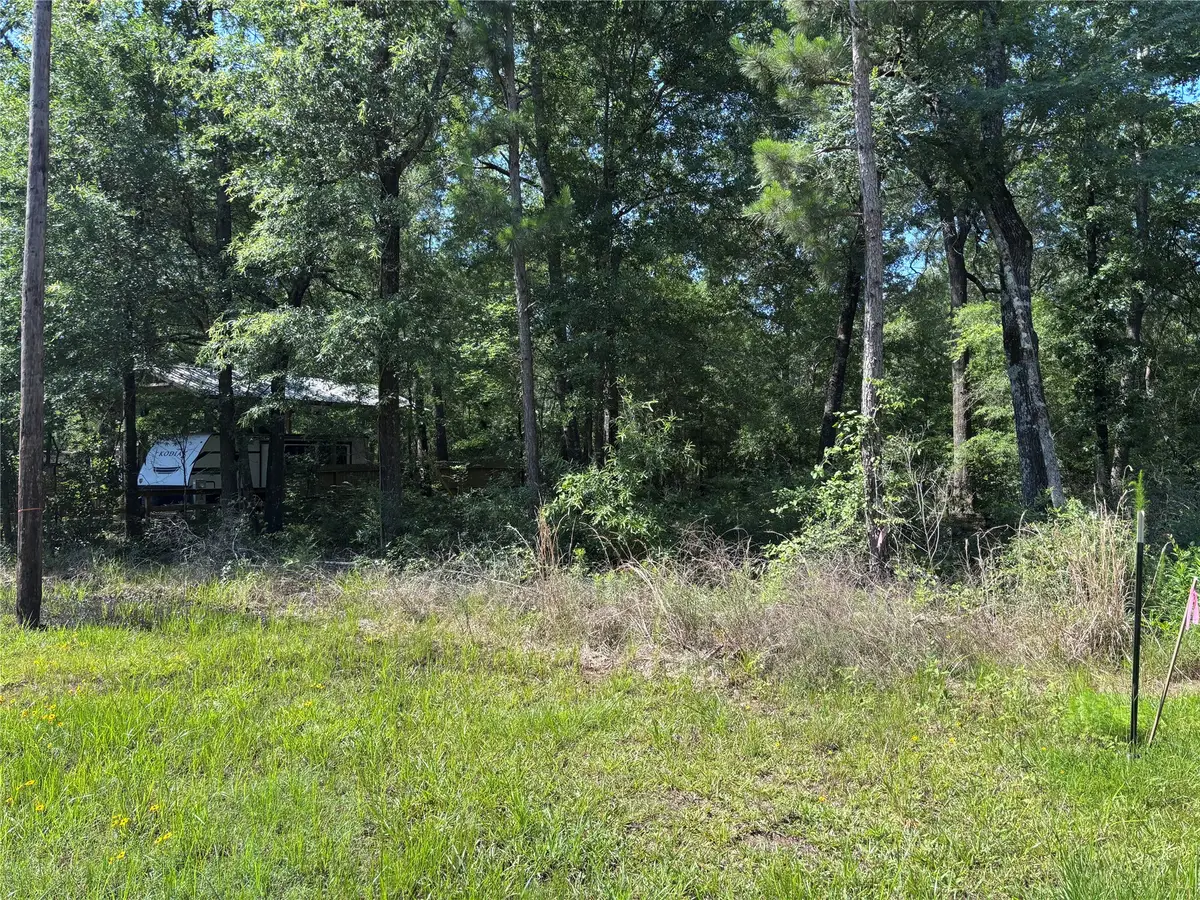 00 Southland, Livingston, TX 77351 - #1