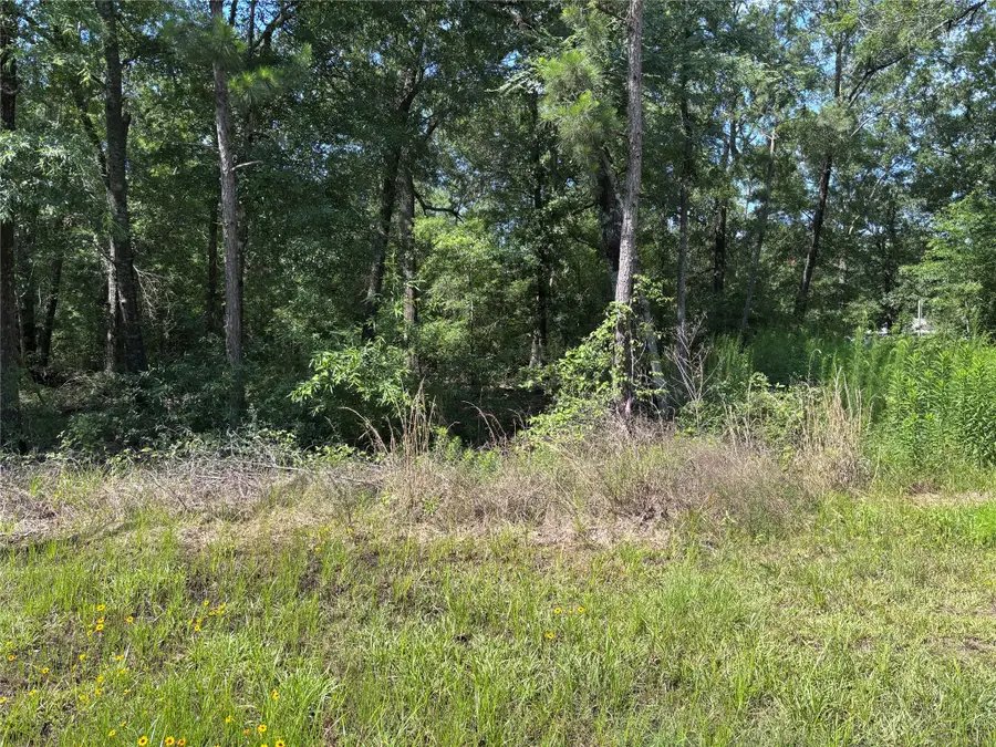 00 Southland, Livingston, TX 77351 - #2