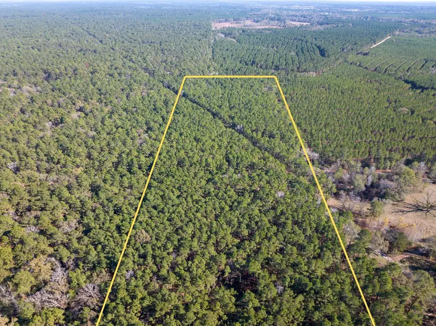 000 Forest Service Road 527, Apple Springs, TX 75926 - Image #2