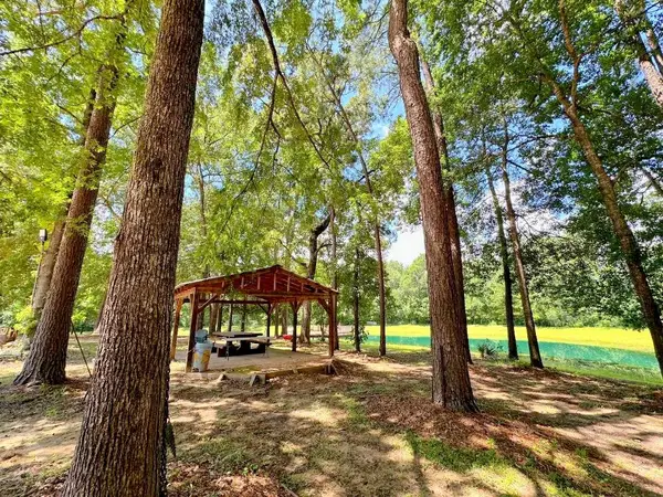 25920 Grand Pines, Magnolia, TX 77355