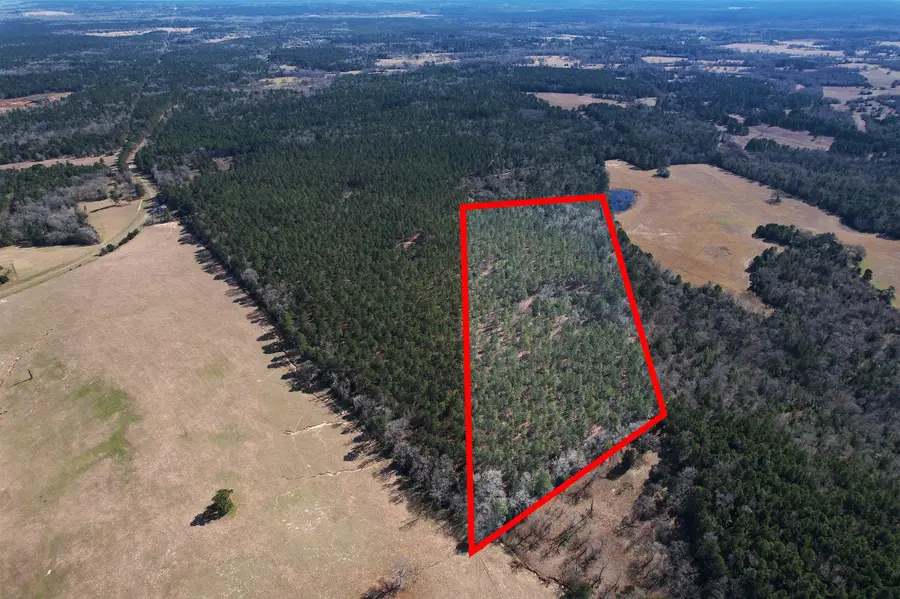 00 Fm 3016, Grapeland, TX 75844 - Image #2