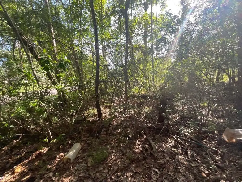 2651 Claire Drive, Orange, TX 77630 - Image #1