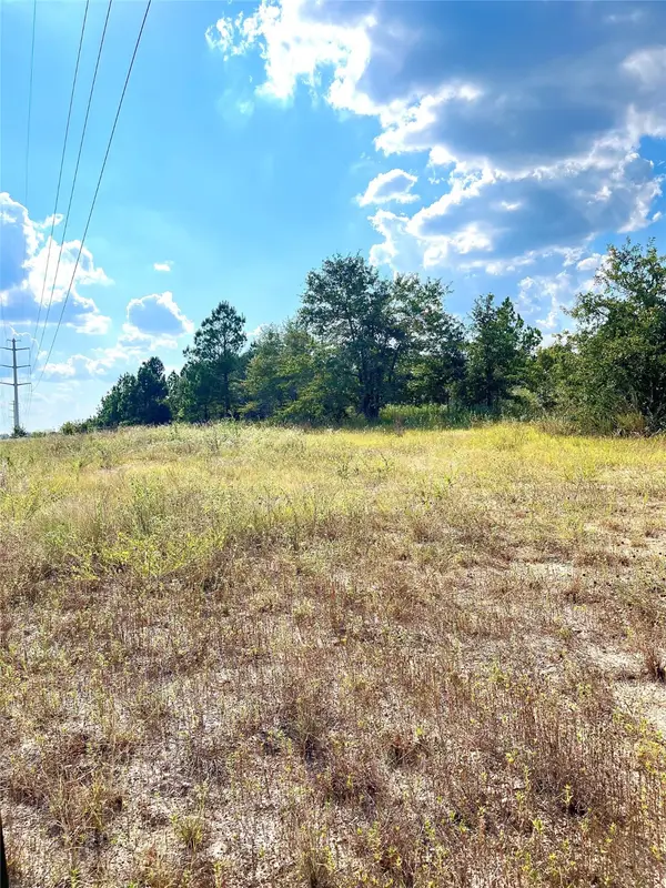 TBD Ponderosa Loop, Paige, TX 78659