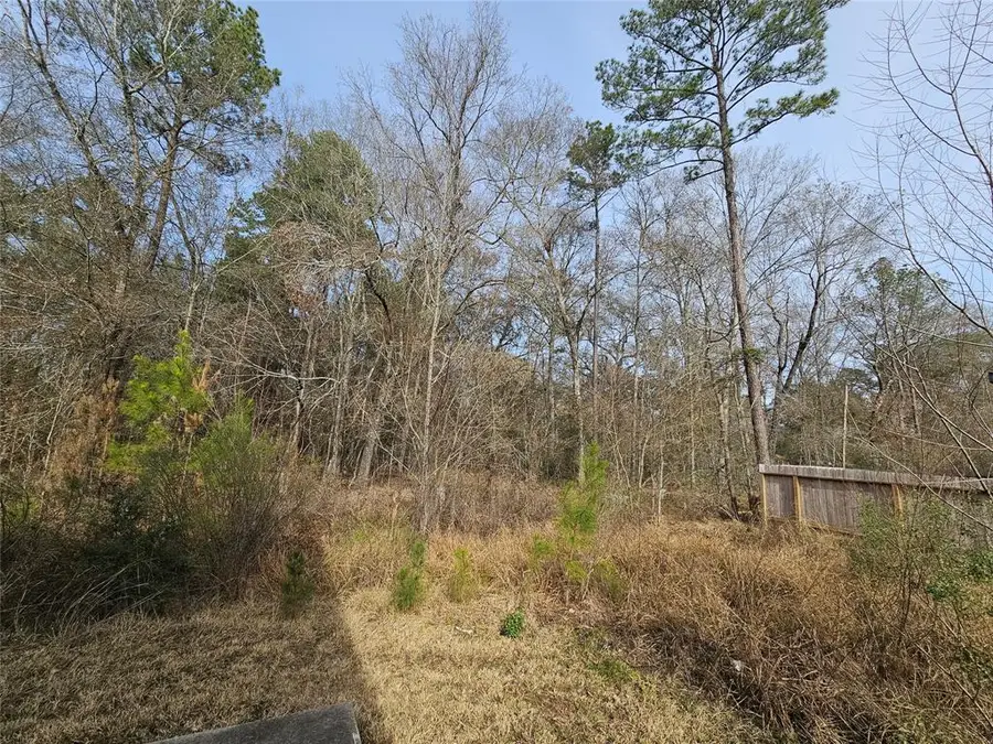 0 Roman Forest Blvd, New Caney, TX 77357 - Image #3