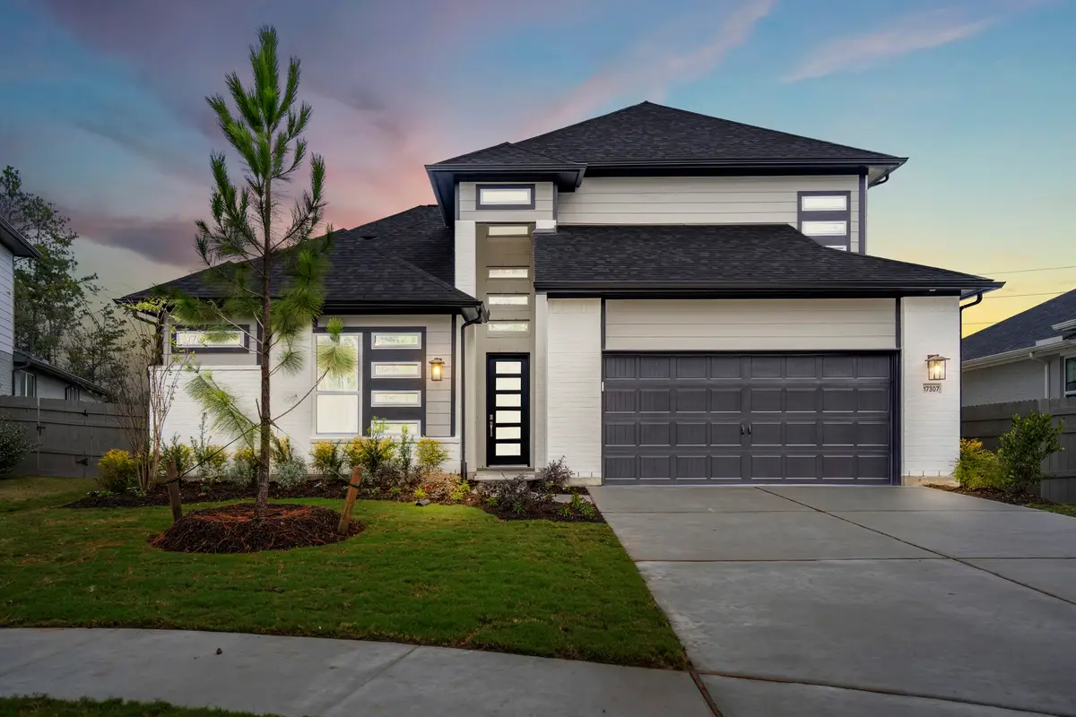 17307 Sunflower Petals Trail, Conroe, TX 77302 - Image #1