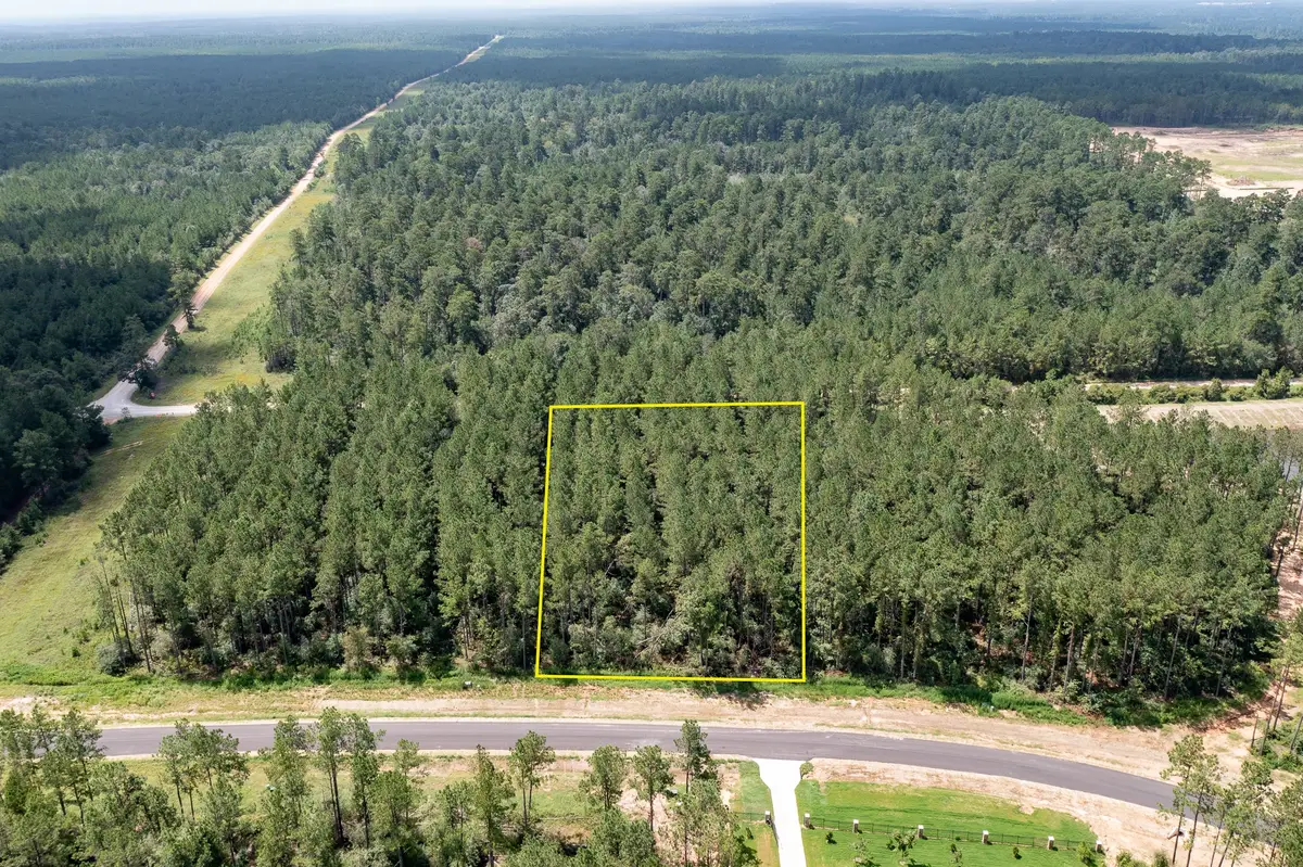 15291 Forest Grove Drive, Willis, TX 77378 - #1