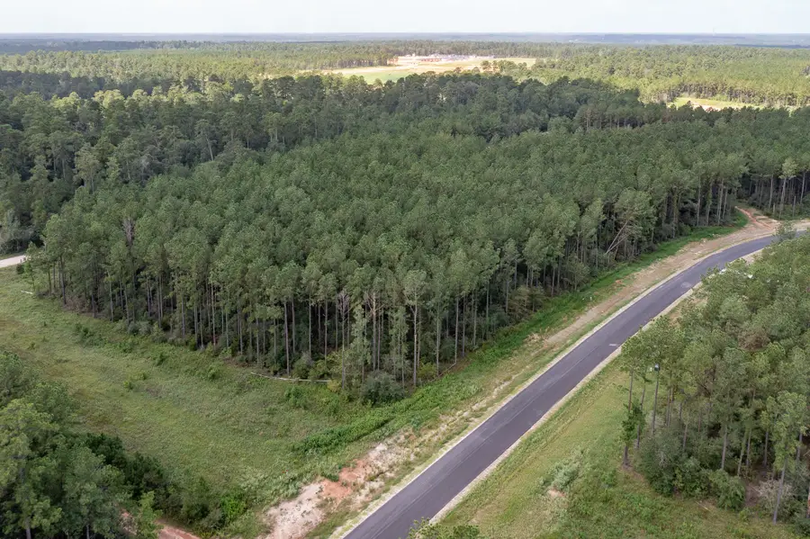 15291 Forest Grove Drive, Willis, TX 77378 - #2