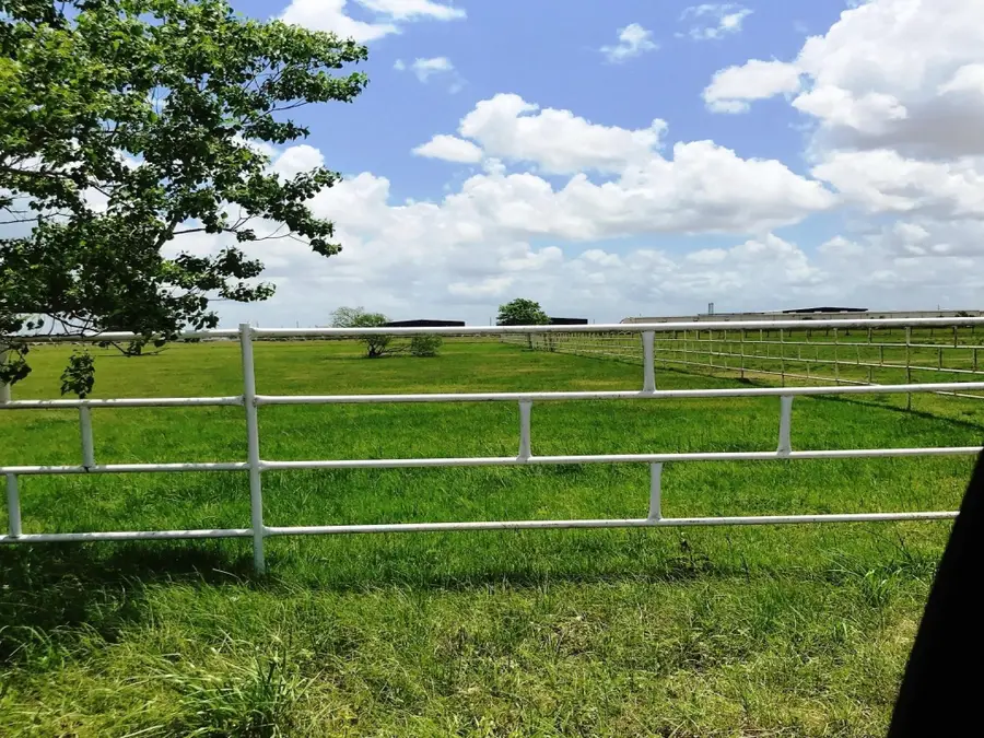 31534 Fm 529 Road, Brookshire, TX 77423 - Image #3