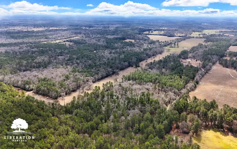 TBD John Warren Road, Coldspring, TX 77331 - Image #3