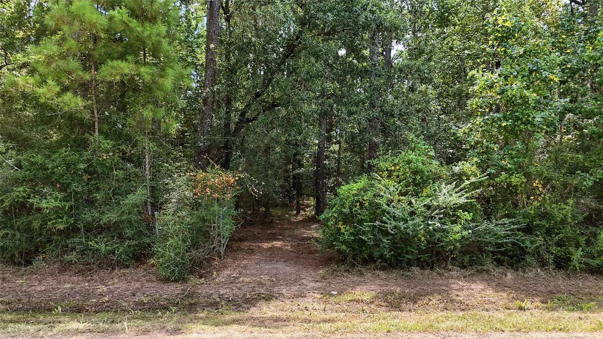 126 County Road 126, Liberty, TX 77575 - #1