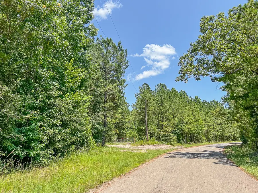 03 Cr 364e, Zavalla, TX 75980 - Image #2