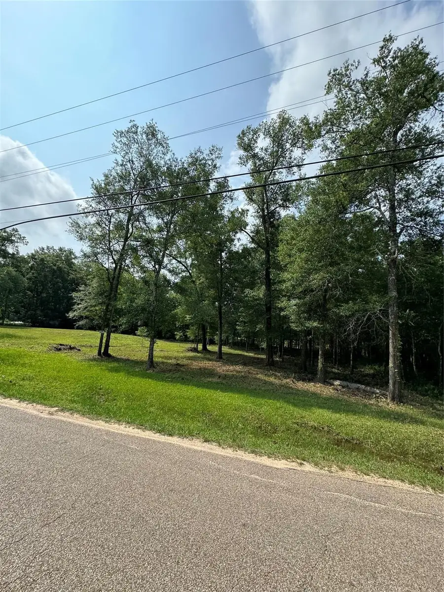 TBD Frontier Rd, Willis, TX 77378 - #3