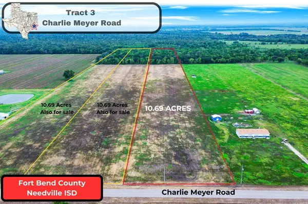 Tract 3 Charlie Meyer Road, Damon, TX 77430